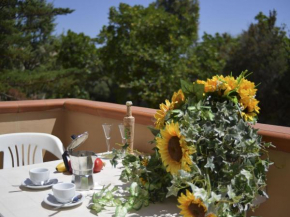 Apartment with Swimming Pool in Trinit d Agultu e Vignola